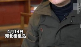 老陈爆料辞职原因视频,视频爆料背后的职场风云